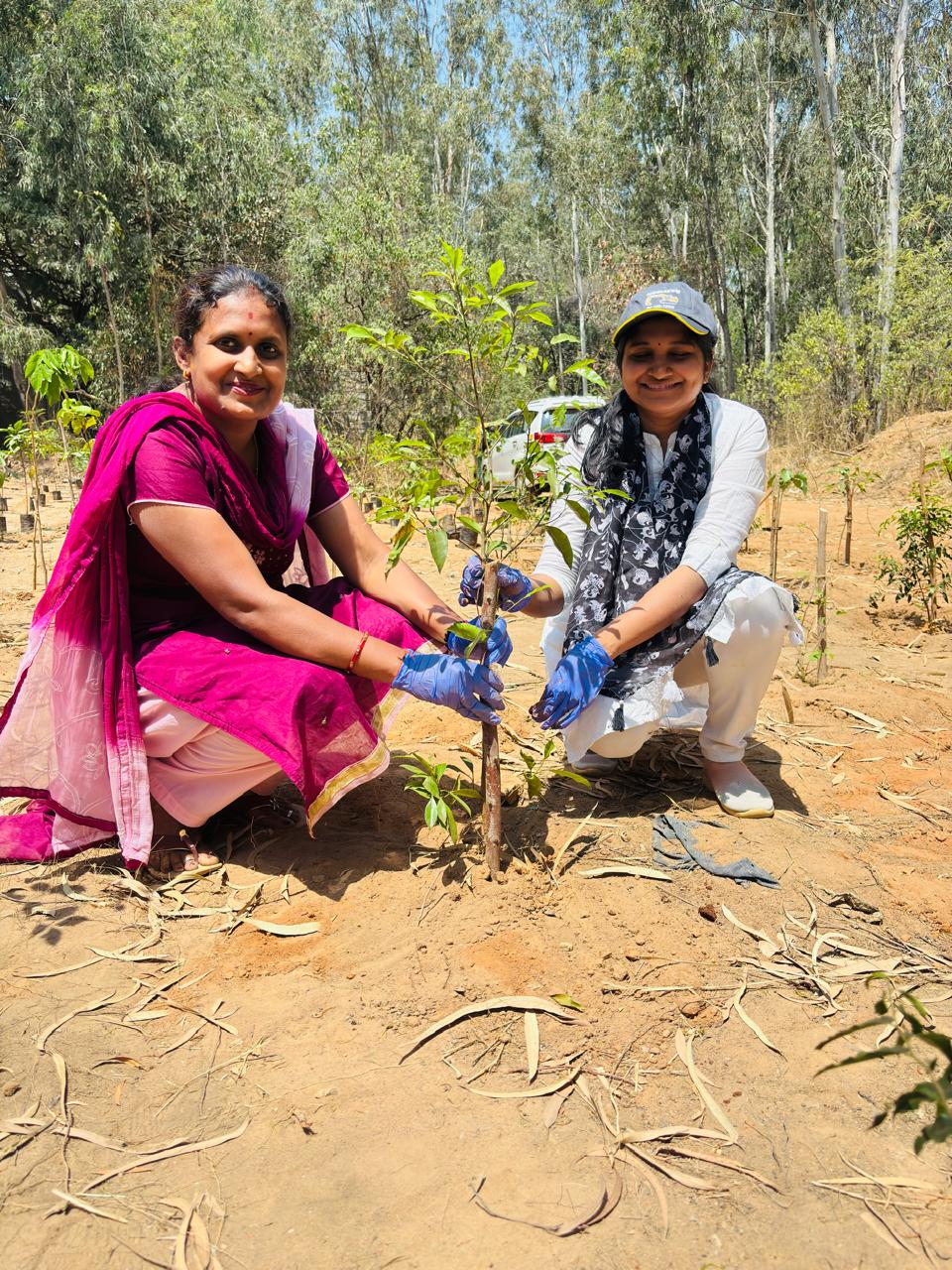 Contribution_to_Environment